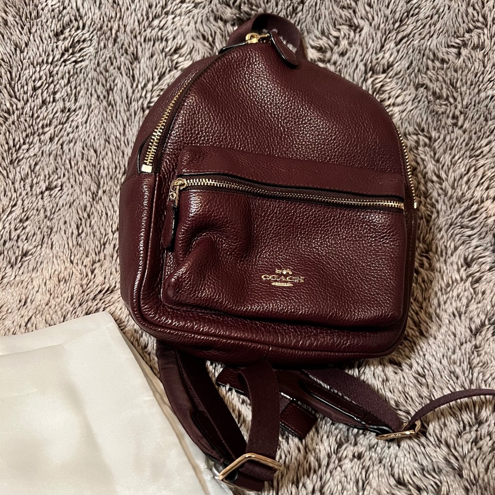 Coach Charlie Pebble Mini Leather Backpack - Picture 13 of 14